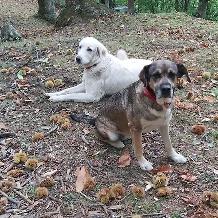So Magic - La Casa Nel Bosco San Godenzo