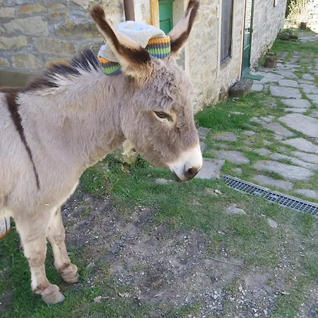 So Magic - La Casa Nel Bosco Holiday home *