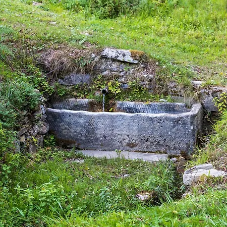 So Magic - La Casa Nel Bosco San Godenzo