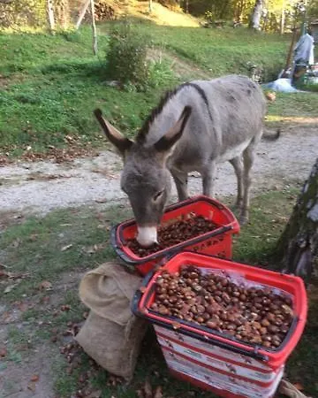So Magic - La Casa Nel Bosco Holiday home San Godenzo